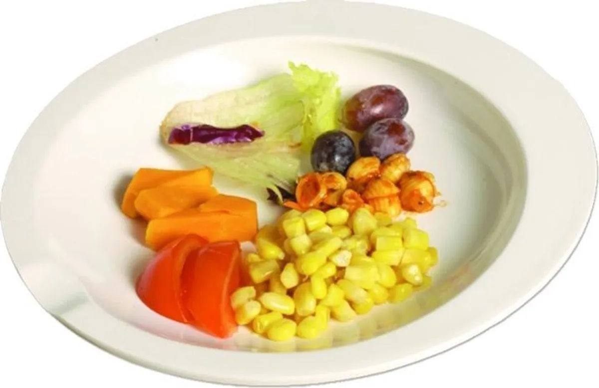 Aangepast bord met opstaande rand GripWare