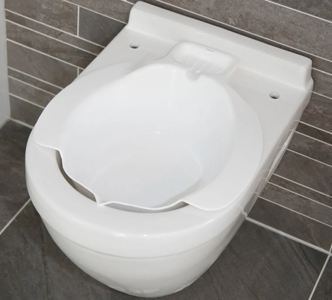bidet in toilet