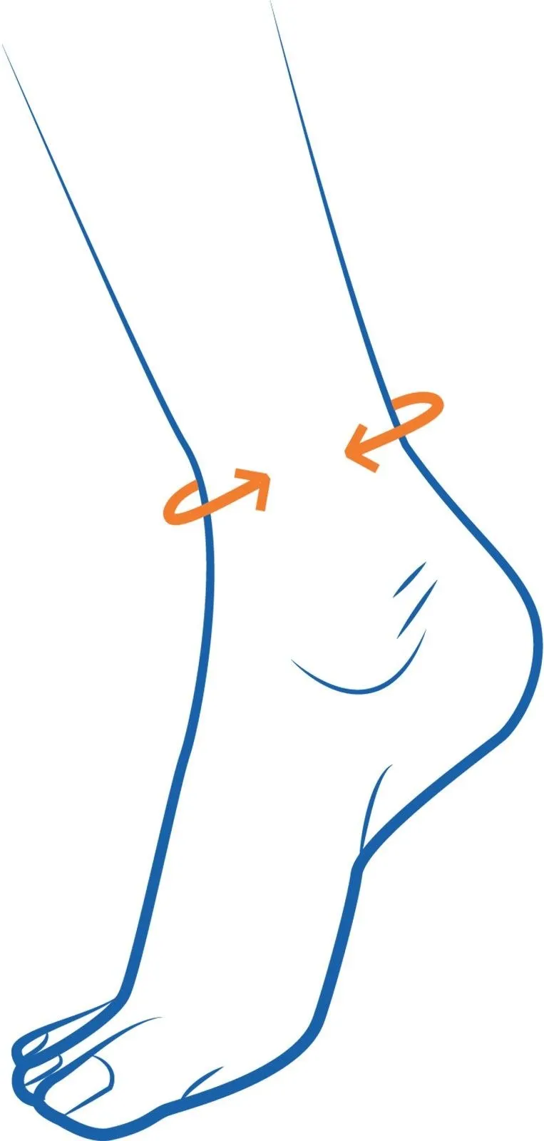 enkelbrace maat bepalen