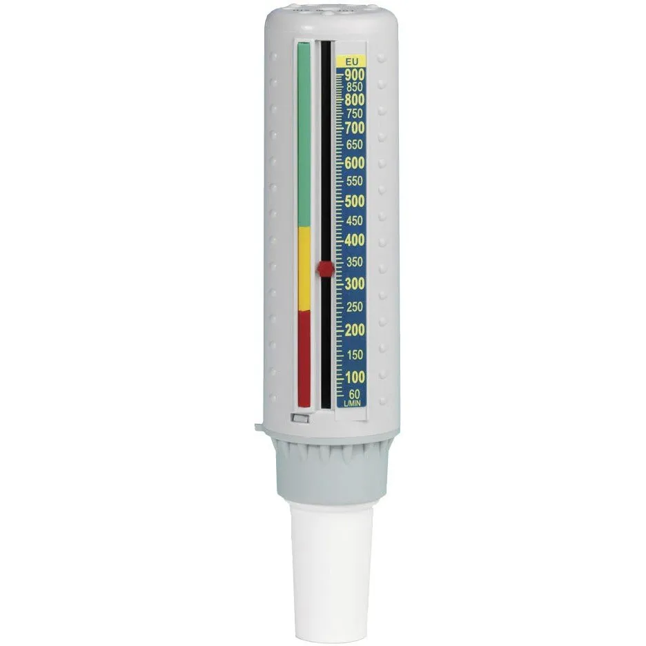 Peak flow meter