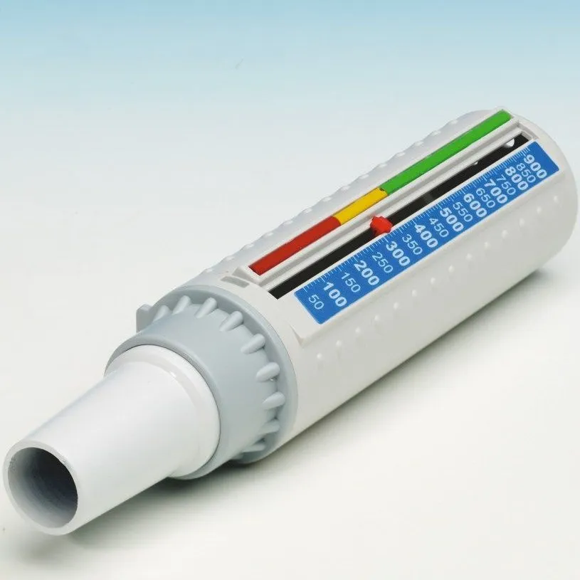 Peak flow meter