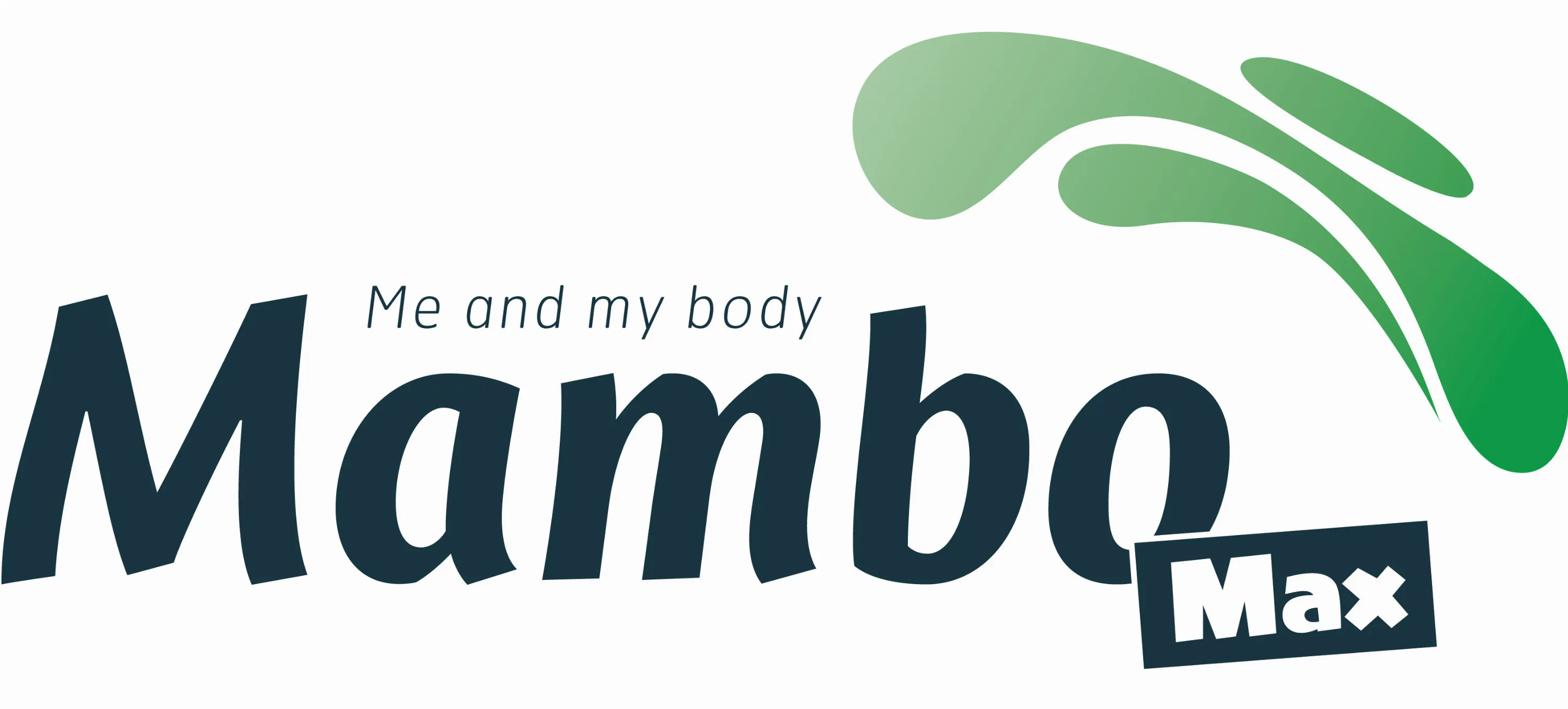 mambo max balanskussen