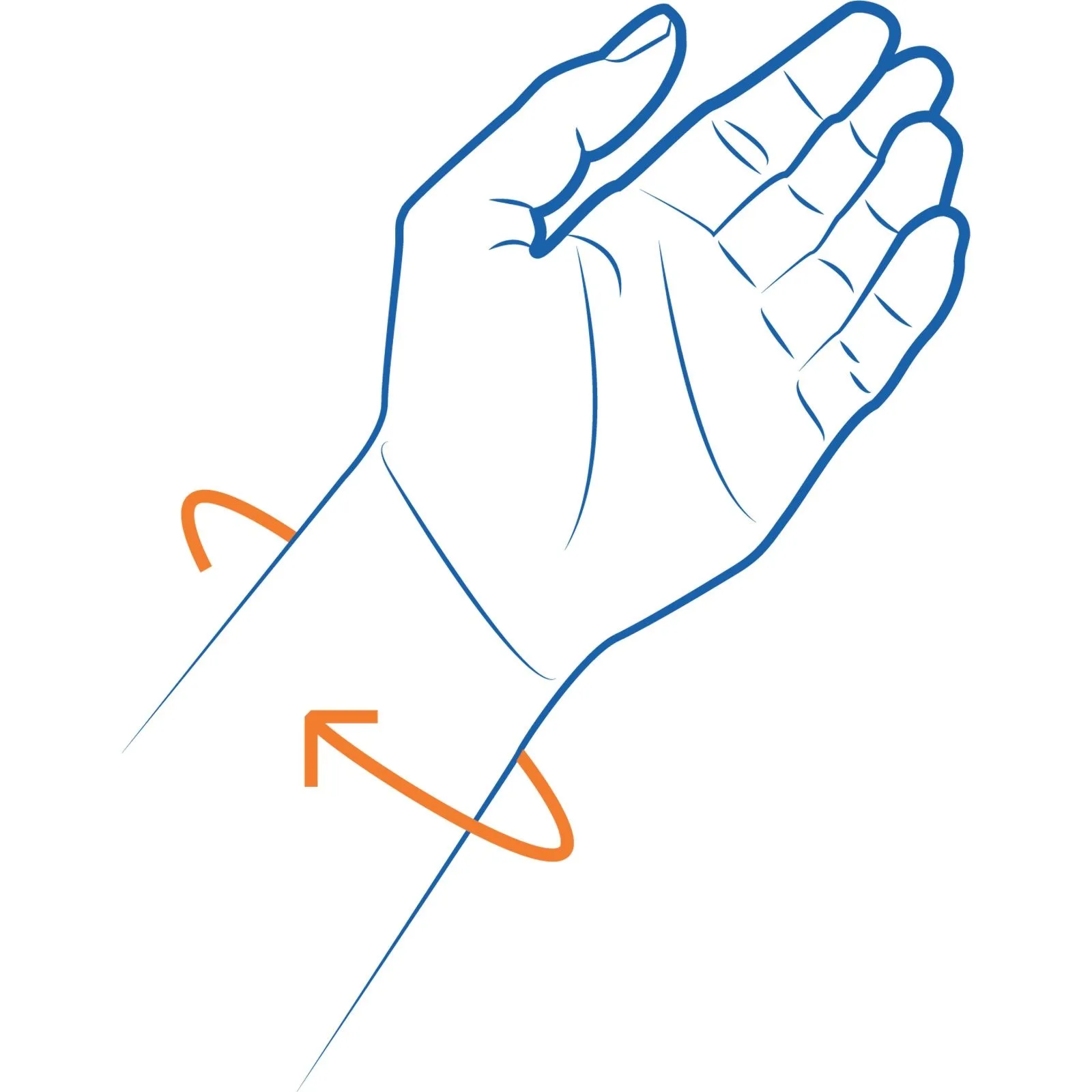 Polsbrace Cellacare Manus Comfort Large Links