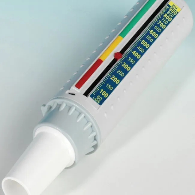 Peak flow meter
