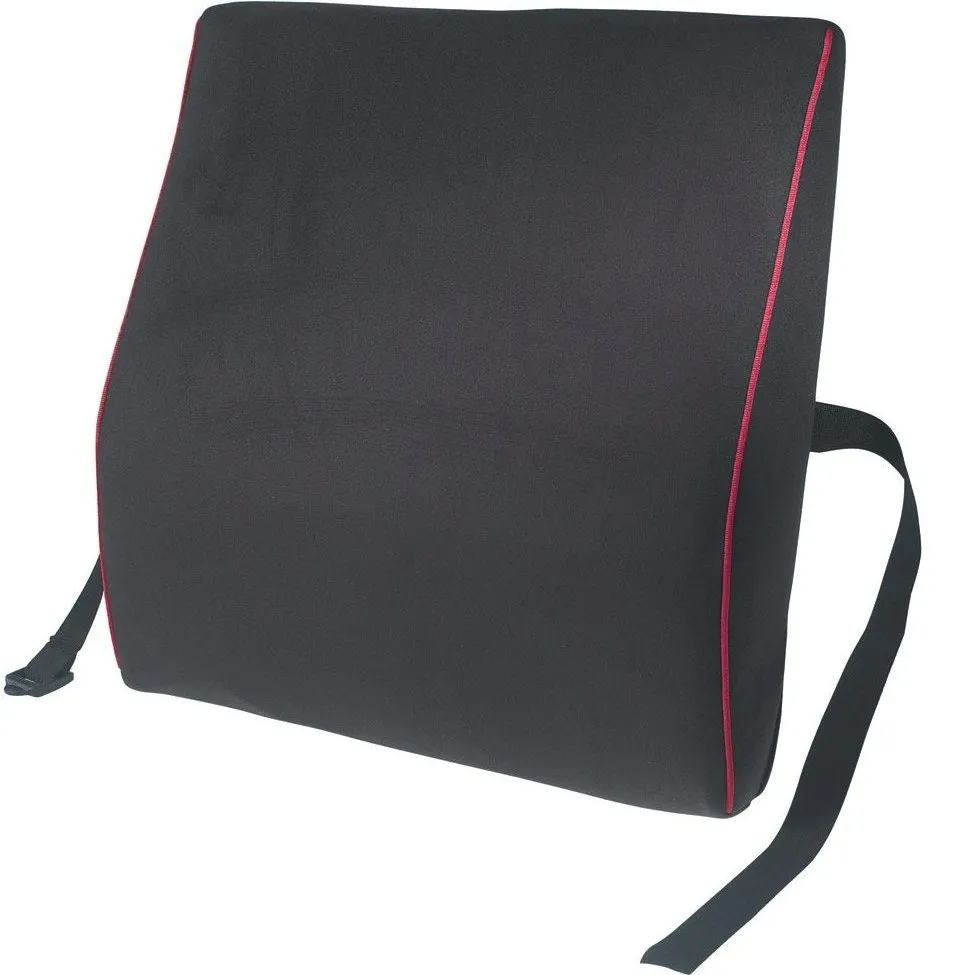 Rugkussen Harley Designer