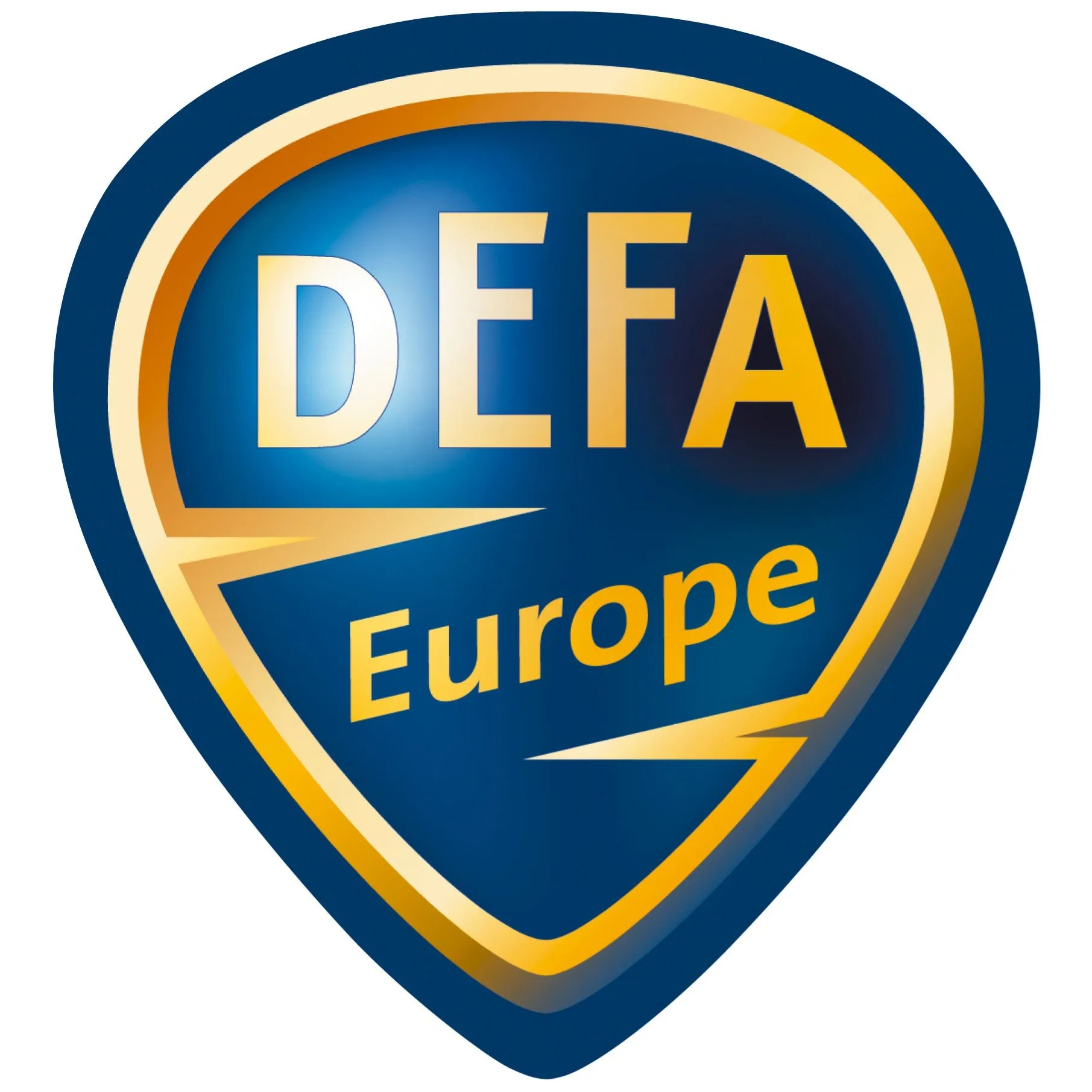 Rugsteun auto Zwart Defa